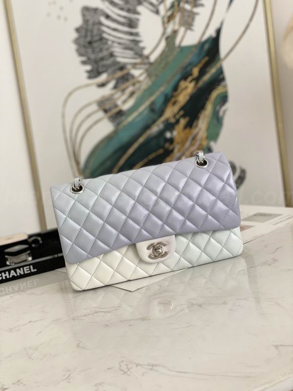 Chanel Handbags 39